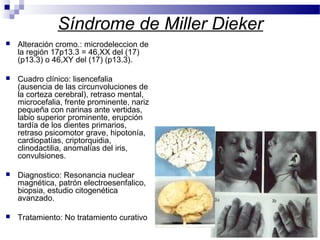 Síndrome de Miller Dieker
 Alteración cromo.: microdeleccion de
la región 17p13.3 = 46,XX del (17)
(p13.3) o 46,XY del (17) (p13.3).
 Cuadro clínico: lisencefalia
(ausencia de las circunvoluciones de
la corteza cerebral), retraso mental,
microcefalia, frente prominente, nariz
pequeña con narinas ante vertidas,
labio superior prominente, erupción
tardía de los dientes primarios,
retraso psicomotor grave, hipotonía,
cardiopatías, criptorquidia,
clinodactilia, anomalías del iris,
convulsiones.
 Diagnostico: Resonancia nuclear
magnética, patrón electroesenfalico,
biopsia, estudio citogenética
avanzado.
 Tratamiento: No tratamiento curativo
 