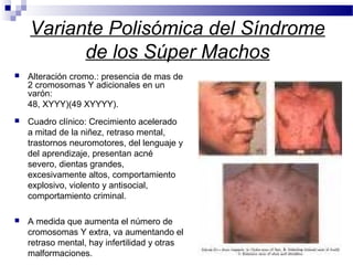 Variante Polisómica del Síndrome
de los Súper Machos
 Alteración cromo.: presencia de mas de
2 cromosomas Y adicionales en un
varón:
48, XYYY)(49 XYYYY).
 Cuadro clínico: Crecimiento acelerado
a mitad de la niñez, retraso mental,
trastornos neuromotores, del lenguaje y
del aprendizaje, presentan acné
severo, dientas grandes,
excesivamente altos, comportamiento
explosivo, violento y antisocial,
comportamiento criminal.
 A medida que aumenta el número de
cromosomas Y extra, va aumentando el
retraso mental, hay infertilidad y otras
malformaciones.
 
