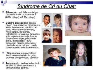 Síndrome de Cri du Chat:
 Alteración : pérdida parcial del
brazo corto del cromosoma 5
46,XX, (5)(p-) 46, XY, (5)(p-)
 Cuadro clínico: Bajo peso al
nacer, cara redonda, crecimiento
lento, llanto como maullido de
gato, retraso mental severo,
microcefalia, hipotonía,
estrabismo, orejas mal formadas
y de implantación baja, fisuras
palpebrales bajas, pliegue de
simio, micrognatia, 30%
presentan hernias inguinales,
diastasis rectal, miopía, puede
haber ausencia de bazo o riñón.
 Diagnostico: amniocentesis,
llanto como maullido de gato,
pruebas citogenéticas, cariotipo.
 Tratamiento: No hay tratamiento
se aborda el retraso mental y
asesoría a los padres.
 