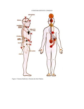O SISTEMA DOS SETE CHAKRAS 
Figura 1. Sistema Endócrino e Sistema dos Sete Chakras 
 