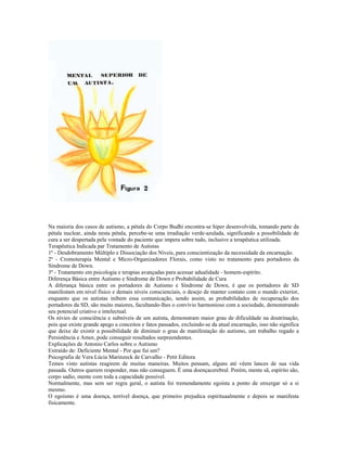 Na maioria dos casos de autismo, a pétala do Corpo Budhi encontra-se hiper desenvolvida, tomando parte da 
pétala nuclear, ainda nesta pétala, percebe-se uma irradiação verde-azulada, significando a possibilidade de 
cura a ser despertada pela vontade do paciente que impera sobre tudo, inclusive a terapêutica utilizada. 
Terapêutica Indicada par Tratamento de Autistas 
1º - Desdobramento Múltiplo e Dissociação dos Níveis, para conscientização da necessidade da encarnação. 
2º - Cromoterapia Mental e Micro-Organizadores Florais, como visto no tratamento para portadores da 
Síndrome de Down. 
3º - Tratamento em psicologia e terapias avançadas para acessar adualidade - homem-espírito. 
Diferença Básica entre Autismo e Síndrome de Down e Probabilidade de Cura 
A diferança básica entre os portadores de Autismo e Síndrome de Down, é que os portadores de SD 
manifestam em nível físico e demais níveis conscienciais, o desejo de manter contato com o mundo exterior, 
enquanto que os autistas inibem essa comunicação, sendo assim, as probabilidades de recuperação dos 
portadores da SD, são muito maiores, facultando-lhes o convívio harmonioso com a sociedade, demonstrando 
seu potencial criativo e intelectual. 
Os nívies de consciência e subníveis de um autista, demonstram maior grau de dificuldade na doutrinação, 
pois que existe grande apego a conceitos e fatos passados, excluindo-se da atual encarnação, isso não significa 
que deixe de existir a possibilidade de diminuir o grau de manifestação do autismo, um trabalho regado a 
Persistência e Amor, pode conseguir resultados surpreendentes. 
Explicações de Antonio Carlos sobre o Autismo 
Extraído de: Deficiente Mental - Por que fui um? 
Psicografia de Vera Lúcia Marinzeck de Carvalho - Petit Editora 
Temos visto autistas reagirem de muitas maneiras. Muitos pensam, alguns até vêem lances de sua vida 
passada. Outros querem responder, mas não conseguem. É uma doençacerebral. Porém, mente sã, espírito são, 
corpo sadio, mente com toda a capacidade possível. 
Normalmente, mas sem ser regra geral, o autista foi tremendamente egoísta a ponto de enxergar só a si 
mesmo. 
O egoísmo é uma doença, terrível doença, que primeiro prejudica espirituaalmente e depois se manifesta 
fisicamente. 
 