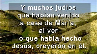 Y muchos judíosY muchos judíos
que habían venidoque habían venido
a casa de María,a casa de María,
al veral ver
lo que había hecholo que había hecho
Jesús, creyeron en él.Jesús, creyeron en él.
 