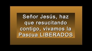 Señor Jesús, hazSeñor Jesús, haz
que resucitandoque resucitando
contigo, vivamos lacontigo, vivamos la
Pascua LIBERADOSPascua LIBERADOS
 
