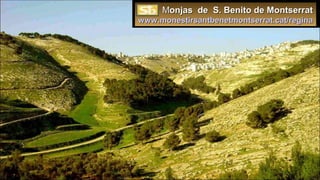 MMonjas de S. Benito de Montserratonjas de S. Benito de Montserrat
www.monestirsantbenetmontserrat.cat/reginawww.monestirsantbenetmontserrat.cat/regina
 