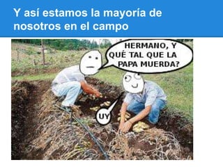 Y así estamos la mayoría de
nosotros en el campo
 