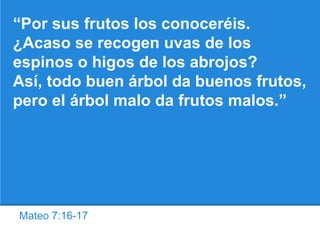 Mateo 7:16-17
“Por sus frutos los conoceréis.
¿Acaso se recogen uvas de los
espinos o higos de los abrojos?
Así, todo buen árbol da buenos frutos,
pero el árbol malo da frutos malos.”
 