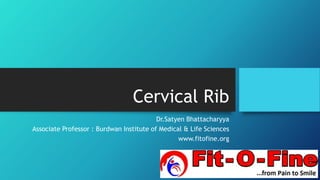 Cervical Rib
Dr.Satyen Bhattacharyya
Associate Professor : Burdwan Institute of Medical & Life Sciences
www.fitofine.org
 
