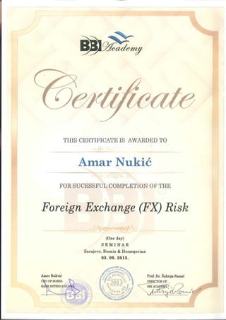 Foreign Exchange (FX) Risk