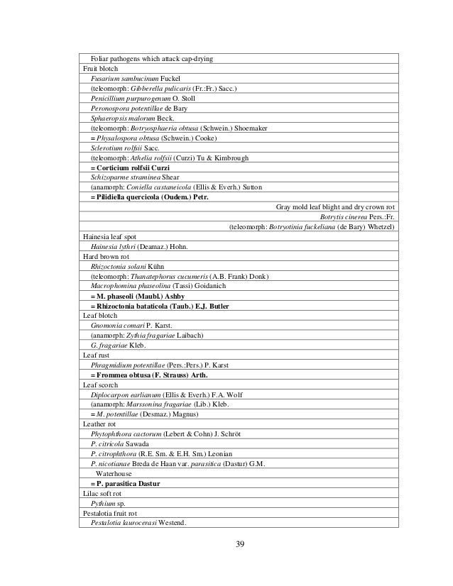 Thesis writing picture