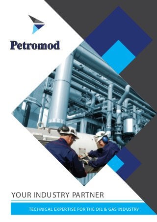 YOUR INDUSTRY PARTNER
TECHNICAL EXPERTISE FOR THE OIL & GAS INDUSTRY
Petromod
 