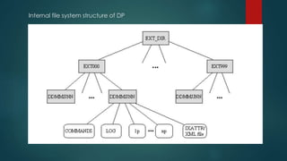 Internal file system structure of DP
 