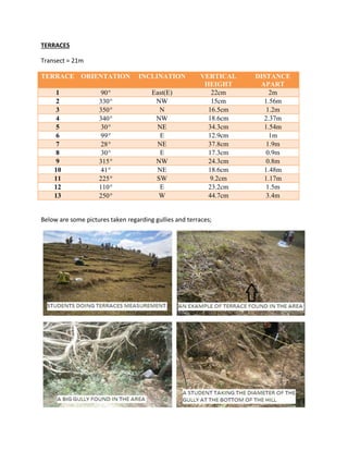 Terrace Point Graph S11076243_FIELD_REPORT | PDF