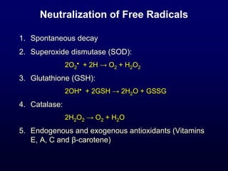 Neutralization of Free Radicals
1. Spontaneous decay
2. Superoxide dismutase (SOD):
2O2
• + 2H → O2 + H2O2
3. Glutathione (GSH):
2OH• + 2GSH → 2H2O + GSSG
4. Catalase:
2H2O2 → O2 + H2O
5. Endogenous and exogenous antioxidants (Vitamins
E, A, C and β-carotene)
 