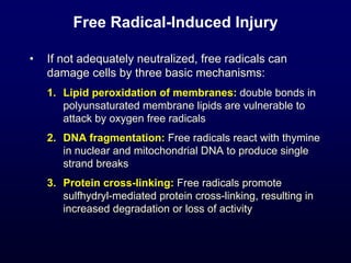 Free Radical-Induced Injury
• If not adequately neutralized, free radicals can
damage cells by three basic mechanisms:
1. Lipid peroxidation of membranes: double bonds in
polyunsaturated membrane lipids are vulnerable to
attack by oxygen free radicals
2. DNA fragmentation: Free radicals react with thymine
in nuclear and mitochondrial DNA to produce single
strand breaks
3. Protein cross-linking: Free radicals promote
sulfhydryl-mediated protein cross-linking, resulting in
increased degradation or loss of activity
 