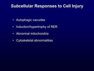 Subcellular Responses to Cell Injury
• Autophagic vacuoles
• Induction/hypertrophy of RER
• Abnormal mitochondria
• Cytoskeletal abnormalities
 