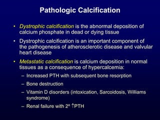 Pathologic Calcification
• Dystrophic calcification is the abnormal deposition of
calcium phosphate in dead or dying tissue
• Dystrophic calcification is an important component of
the pathogenesis of atherosclerotic disease and valvular
heart disease
• Metastatic calcification is calcium deposition in normal
tissues as a consequence of hypercalcemia:
– Increased PTH with subsequent bone resorption
– Bone destruction
– Vitamin D disorders (intoxication, Sarcoidosis, Williams
syndrome)
– Renal failure with 2º ↑PTH
 