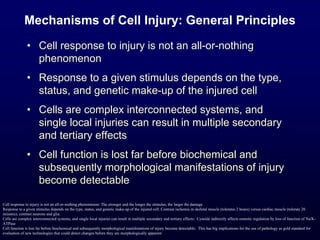 Mechanisms of Cell Injury: General Principles
• Cell response to injury is not an all-or-nothing
phenomenon
• Response to a given stimulus depends on the type,
status, and genetic make-up of the injured cell
• Cells are complex interconnected systems, and
single local injuries can result in multiple secondary
and tertiary effects
• Cell function is lost far before biochemical and
subsequently morphological manifestations of injury
become detectable
Cell response to injury is not an all-or-nothing phenomenon: The stronger and the longer the stimulus, the larger the damage
Response to a given stimulus depends on the type, status, and genetic make-up of the injured cell: Contrast ischemia in skeletal muscle (tolerates 2 hours) versus cardiac muscle (tolerate 20
minutes); contrast neurons and glia.
Cells are complex interconnected systems, and single local injuries can result in multiple secondary and tertiary effects: Cyanide indirectly affects osmotic regulation by loss of function of Na/K-
ATPase
Cell function is lost far before biochemical and subsequently morphological manifestations of injury become detectable: This has big implications for the use of pathology as gold standard for
evaluation of new technologies that could detect changes before they are morphologically apparent
 