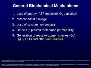 General Biochemical Mechanisms
1. Loss of energy (ATP depletion, O2 depletion)
2. Mitochondrial damage
3. Loss of calcium homeostasis
4. Defects in plasma membrane permeability
5. Generation of reactive oxygen species (O2
•
,
H2O2, OH
•
) and other free radicals
Cytosolic free calcium is 10,000 times lower than extracellular calcium or sequestered intracellular calcium. Increase in cytosolic calcium can result in activation of phospholipases (membrane
damage), proteases, ATPases, and endonucleases.
Increase in cytosolic calcium, oxidative stress, and lipid breakdown products result in formation of high-conductance channels in inner mitochondrial membranes (“mitochondrial permeability
transition”) that result in loss of proton gradient. Cytochrome C can also leak into the cytosol, activating apoptotic pathways.
 