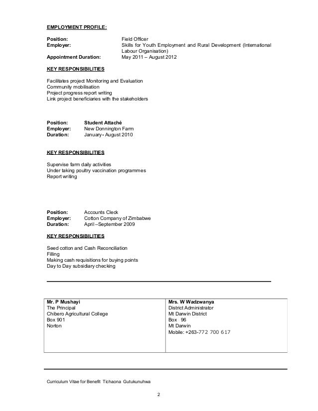 Cv purpose statement picture