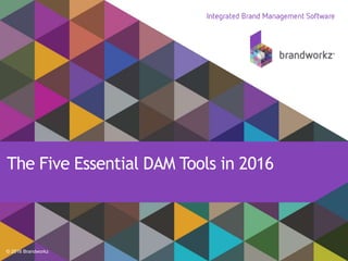 © 2016 Brandworkz
The Five Essential DAM Tools in 2016
 