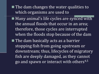 The 5 largest dams and their ecological impact | PPTX