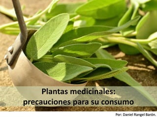 Por: Daniel Rangel Barón.
Plantas medicinales:
precauciones para su consumo
 