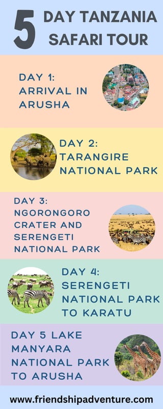5 Day Tanzania Safari Tour Friendship Adventure Pdf