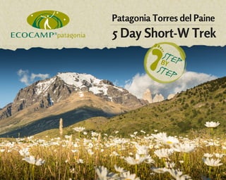 Patagonia 5 day Short W Trek Step by Step Travel Guide #Wtrek2013