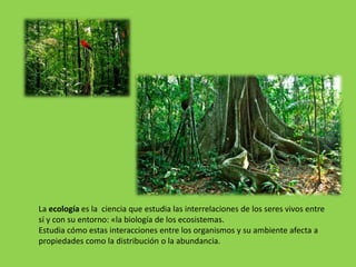 La ecología es la ciencia que estudia las interrelaciones de los seres vivos entre
sí y con su entorno: «la biología de los ecosistemas.
Estudia cómo estas interacciones entre los organismos y su ambiente afecta a
propiedades como la distribución o la abundancia.
 