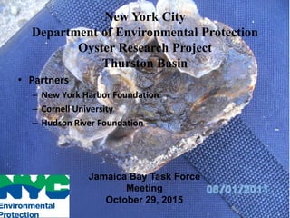 • Partners
– New York Harbor Foundation
– Cornell University
– Hudson River Foundation
New York City
Department of Environmental Protection
Oyster Research Project
Thurston Basin
Jamaica Bay Task Force
Meeting
October 29, 2015
 