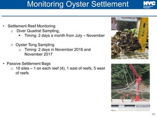 11
Monitoring Oyster Settlement
• Settlement Reef Monitoring
o Diver Quadrat Sampling,
 Timing: 2 days a month from July – November
o Oyster Tong Sampling
o Timing: 2 days in November 2016 and
November 2017
• Passive Settlement Bags
o 10 sites – 1 on each reef (4), 1 east of reefs, 5 west
of reefs
 