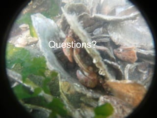 12
Questions?
Questions?
 