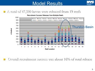 5
Model Results
 A total of 47,500 larvae were released from 19 reefs
 Overall recruitment success was about 16% of total release
Thurston Basin
 
