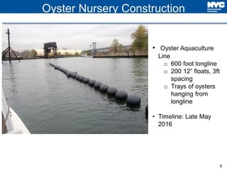 8
Oyster Nursery Construction
• Oyster Aquaculture
Line
o 600 foot longline
o 200 12” floats, 3ft
spacing
o Trays of oysters
hanging from
longline
• Timeline: Late May
2016
 