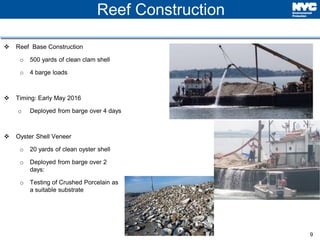 9
Reef Construction
 Reef Base Construction
o 500 yards of clean clam shell
o 4 barge loads
 Timing: Early May 2016
o Deployed from barge over 4 days
 Oyster Shell Veneer
o 20 yards of clean oyster shell
o Deployed from barge over 2
days:
o Testing of Crushed Porcelain as
a suitable substrate
 
