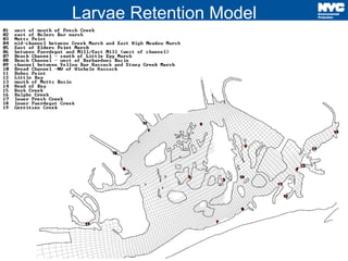 4
Larvae Retention Model
 