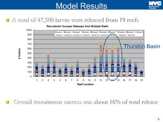 5
Model Results
 A total of 47,500 larvae were released from 19 reefs
 Overall recruitment success was about 16% of total release
Thurston Basin
 