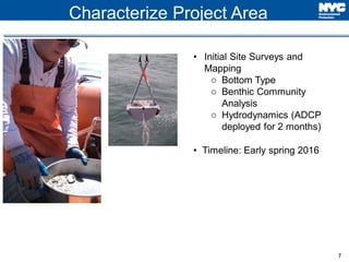 7
Characterize Project Area
• Initial Site Surveys and
Mapping
o Bottom Type
o Benthic Community
Analysis
o Hydrodynamics (ADCP
deployed for 2 months)
• Timeline: Early spring 2016
 