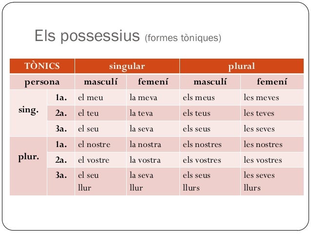 Resultat d'imatges per a "el determinants possesius"