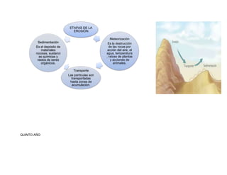 ETAPAS DE LA
                              EROSIÓN

                                                   Meteorización
        Sedimentación                            Es la destrucción
       Es el depósito de                          de las rocas por
          materiales                             acción del aire, el
       rocosas, sustanci                        agua, temperatura
         as químicas y                          , raíces de plantas
        restos de seres                            y acciones de
          orgánicos.                                 animales.

                               Transporte
                           Las partículas son
                             transportadas
                            hasta zonas de
                             acumulación.




QUINTO AÑO
 