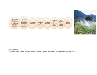 TÉCNICAS     1.- Realizar
                                                                       5.- Riego      6.-
   AGRÍCOLAS      siembras                        3.-         4.-                                7.-
                                                                           por     Extraer
       DE        en épocas      2.- Cultivos   Rotación    Terrazas                           Abonos
                                                                       asperaci       las
   CONSERVA       oportunas     asociados.        de       agrícolas                          orgánico
                                                                          ón o      malas
    CIÓN DEL      y semillas                   cultivos.       .                                 s.
                                                                        goteo.     hierbas.
     SUELO        naturales.




BIBLIOGRAFÍA
LASSO ROCHA Edison, Entorno Natural y Social, Ciencias Naturales 4, 5; primera edición Julio 2010
 