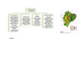 RELIEVE DEL
                                      ECUADOR


   Islas Galápagos                                                  Región Amazónica
                                                    Región
Están rodeadas por        Región Litoral          Interandina            Tiene dos
el océano pacífico a    Esta bañada por el                            subregiones: la
                                               Está formada por
    1000km de las        océano pacífico y                        subandina y la llanura
                                                las cordilleras
costas ecuatorianas.    bordea la cordillera                         amazónica. En la
                                                   Oriental y
 Son el resultado de     de los Andes que                              subandina las
                                                  Occidental.
     una actividad        en esta región                             montañas tienen
                                               Estas montañas
volcánica. tiene tres   alcanza una altura                         alturas de entre los
                                                 se unen por
   tipos de relieve:    máxima de los 800                          2500 y 3000 m. s. n.
                                               nudos y forman a
                             m. s. n. m.                              m. En la llanura
      -Islas bajas                              su vez hoyas.
                                                                      amazónica hay
-Islas formadas por                                               elevaciones entre 150
     volcanes sin                                                    y 300 m. s. n. m.
        cráteres.
  -Islas de grandes
  volcanes activas.




QUINTO
 