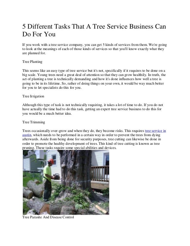 Tree Cutting Services Chilliwack