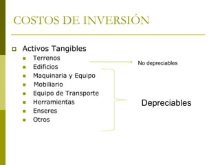 COSTOS DE INVERSIÓN
 Activos Tangibles
 Terrenos
 Edificios
 Maquinaria y Equipo
 Mobiliario
 Equipo de Transporte
 Herramientas
 Enseres
 Otros
Depreciables
No depreciables
 