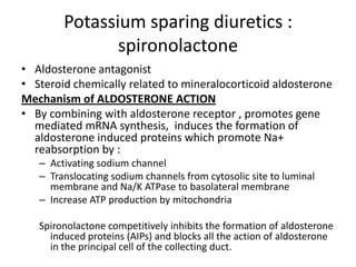 Potassium sparing diuretics :
spironolactone
• Aldosterone antagonist
• Steroid chemically related to mineralocorticoid aldosterone
Mechanism of ALDOSTERONE ACTION
• By combining with aldosterone receptor , promotes gene
mediated mRNA synthesis, induces the formation of
aldosterone induced proteins which promote Na+
reabsorption by :
– Activating sodium channel
– Translocating sodium channels from cytosolic site to luminal
membrane and Na/K ATPase to basolateral membrane
– Increase ATP production by mitochondria
Spironolactone competitively inhibits the formation of aldosterone
induced proteins (AIPs) and blocks all the action of aldosterone
in the principal cell of the collecting duct.

 