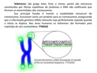 Telômeros: (do grego telos, final, e meros, parte) são estruturas
constituídas por fileiras repetitivas de proteínas e DNA não codificante que
formam as extremidades dos cromossomas.
         Sua principal função é manter a estabilidade estrutural do
cromossoma, funcionam como um protetor para os cromossomos assegurando
que a informação genética (DNA) relevante seja perfeitamente copiada quando
a célula se duplica. Nos seres humanos os telômeros são formados pela
repetição de seis nucleotídeos: TTAGGG
 