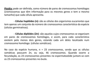 Ploidia: pode ser definida, como número de pares de cromossomas homólogos
(cromossomas que têm informação para os mesmos genes e tem o mesmo
tamanho) que cada célula apresenta.

          - Células haplóides (n): são as células dos organismos eucariontes que
tem apenas um conjunto do número de cromossomos característico da espécie
(células germinativas).

        - Células diplóides (2n): são aquelas cujos cromossomos se organizam
em pares de cromossomos homólogos, e assim, para cada característica
existem pelo menos dois genes, estando cada um deles localizado num
cromossomo homólogo (células somáticas).

No caso da espécie humana, n = 23 cromossomos, sendo que as células
somáticas possuem 2n, ou seja, 46 cromossomos. Quando ocorre a
fecundação, os 23 cromossomos presentes no espermatozóide juntam-se com
os 23 cromossomos presentes no óvulo.
 