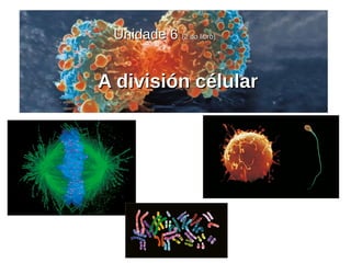 A división célularA división célular
Unidade 6Unidade 6 (2 do libro)(2 do libro)
 