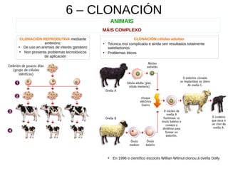 6 – CLONACIÓN
ANIMAIS
MÁIS COMPLEXO
CLONACIÓN REPRODUTIVA mediante
embrións:
●
De uso en animais de interés gandeiro
●
Non presenta problemas tecnolóxicos
de aplicación
CLONACIÓN células adultas
●
Técnica moi complicada e ainda sen resultados totalmente
satisfactorios
●
Problemas éticos
●
En 1996 o científico escocés Willian Wilmut clonou á ovella Dolly
 