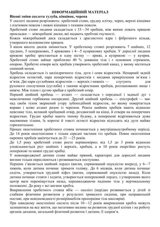 ІНФОРМАЦІЙНИЙ МАТЕРІАЛ
Вікові зміни скелета тулуба, кінцівок, черепа
У скелеті людини розрізняють: хребетний стовп, грудну клітку, череп, верхні кінцівки
з плечовим поясом і нижні кінцівки з тазовим поясом.
Хребетний стовп людини складається з 33—34 хребців, між якими лежать хрящові
прокладки — міжхребцеві диски, які надають хребтові гнучкості.
Кожен міжхребцевий диск складається з драглистого ядра і фіброзного кільця,
утвореного волокнистим хрящем.
З віком висота дисків змінюється. У хребетному стовпі розрізняють 7 шийних, 12
грудних, 5 поперекових, 5 крижових і 4—5 куприкових хребців. У дорослої людини
крижові хребці зростаються в одну кістку — крижі, а куприкові — у куприк.
Хребетний стовп займає приблизно 40 % довжини тіла і є основним стрижнем,
опорою. Хребетні отвори всіх хребців утворюють хребетний канал, у якому міститься
спинний мозок.
Хребець складається із циліндричного тіла, дуги і семи відростків. Непарний задній
відросток остистий, пара поперечних відростків є місцями прикріплення зв’язок і
м’язів. Дві пари суглобових відростків — верхніх і нижніх — слугують для
рухомого сполучення (суглоби) з такими відростками хребців, розташованих вище і
нижче. Між тілом і дугою хребця е хребетний отвір.
Перший шийний хребець — атлант — складається з передньої і задньої дуг з
невеличкими горбиками посередині. Другий шийний хребець — епістрофей — має
над своїм тілом звернений угору зубоподібний відросток, по якому повертається
вправо і вліво атлант разом із черепом. Решта шийних хребців мають відносно
невелике тіло, великий хребцевий отвір, роздвоєний на кінці, й отвори на поперечних
відростках. Грудні хребці мають типову будову, а поперекові відрізняються дуже
масивними тілами, їх короткі й товсті остисті відростки відходять від дуги майже
горизонтально.
Процес окостеніння хребетного стовпа починається у внутрішньоутробному періоді.
До 14 років окостенілими є тільки середні частини тіл хребців. Повне окостеніння
окремих хребців закінчується до 21 —23 років.
До 1,5 року хребетний стовп росте нерівномірно; від 1,5 до 3 років відносно
уповільнюється ріст шийних і верхніх, хребців, а в 10 років енергійно ростуть
поперекові та нижні грудні хребці.
У новонародженої дитини стовп майже прямий, характерні для дорослої людини
вигини тільки окреслюються і розвиваються поступово.
Першим з’являється шийний лордоз (вигин, спрямований опуклістю вперед), у 6—7
тижнів, коли дитина починає тримати голівку. До 6 місяців, коли дитина починає
сидіти, утворюється грудний кіфоз (вигин, спрямований опуклістю назад). Коли
дитина починає стояти і ходити, утворюється поперековий лордоз, з утворенням якого
центр ваги переміщується назад, перешкоджаючи падінню тіла у вертикальному
положенні. До року є всі вигини хребта.
Викривлення хребетного стовпа вбік — сколіоз (нерідко розвивається у дітей зі
слабким фізичним розвитком у результаті тривалого сидіння, при неправильній
поставі, при невідповідності розмірівмеблів пропорціям тіла школярів).
При швидкому окостенінні скелета після 10—12 років викривлення хребта можуть
залишитися на все життя, що негативно вплине на розвиток грудної клітки і на роботу
органів дихання, загальний фізичний розвиток ї дитини, її здоров’я.
 